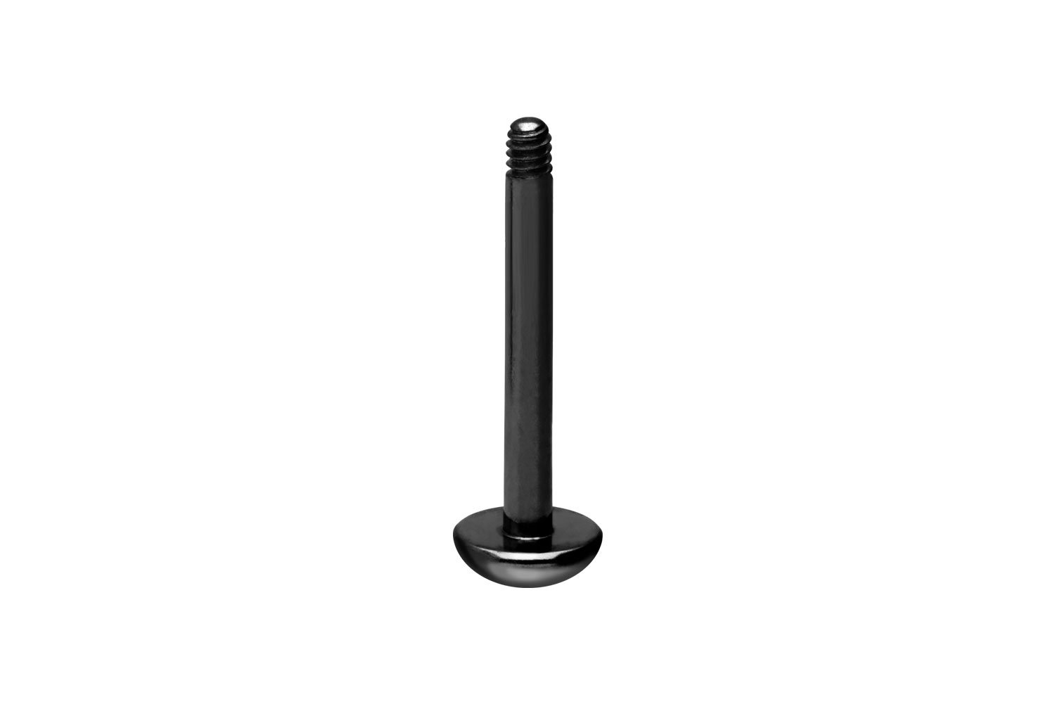 Titan Labret Piercing ohne Kugel ABGERUNDETE PLATTE